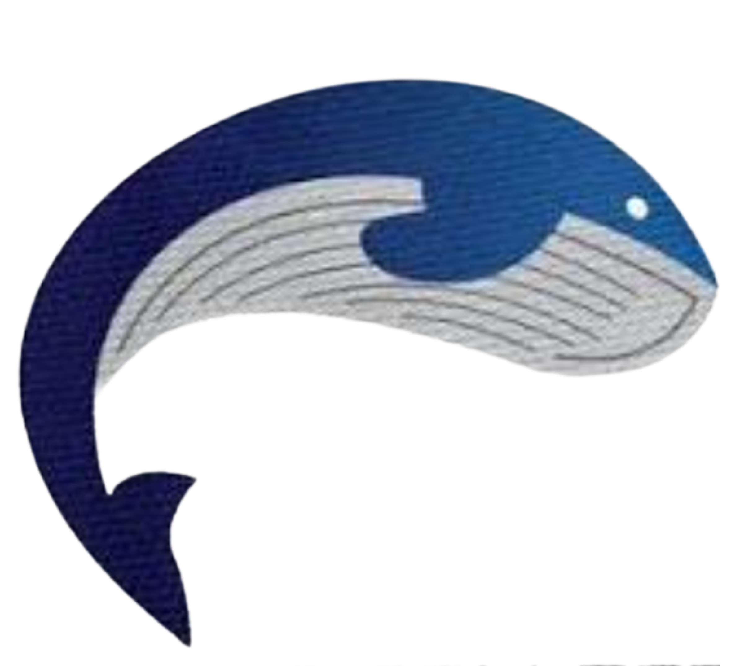 Whales College